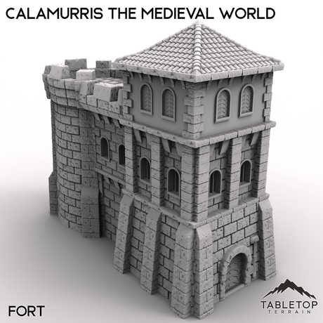 Tabletop Terrain Terrain 28/32mm / Fort Calamurris the Medieval World