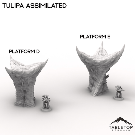 Tabletop Terrain Terrain 28/32mm / Platform D Tulipa Assimilated