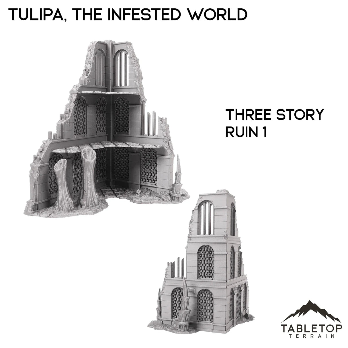 Tabletop Terrain Terrain 28/32mm / Three Story Ruin 1 Tulipa, The Infested World