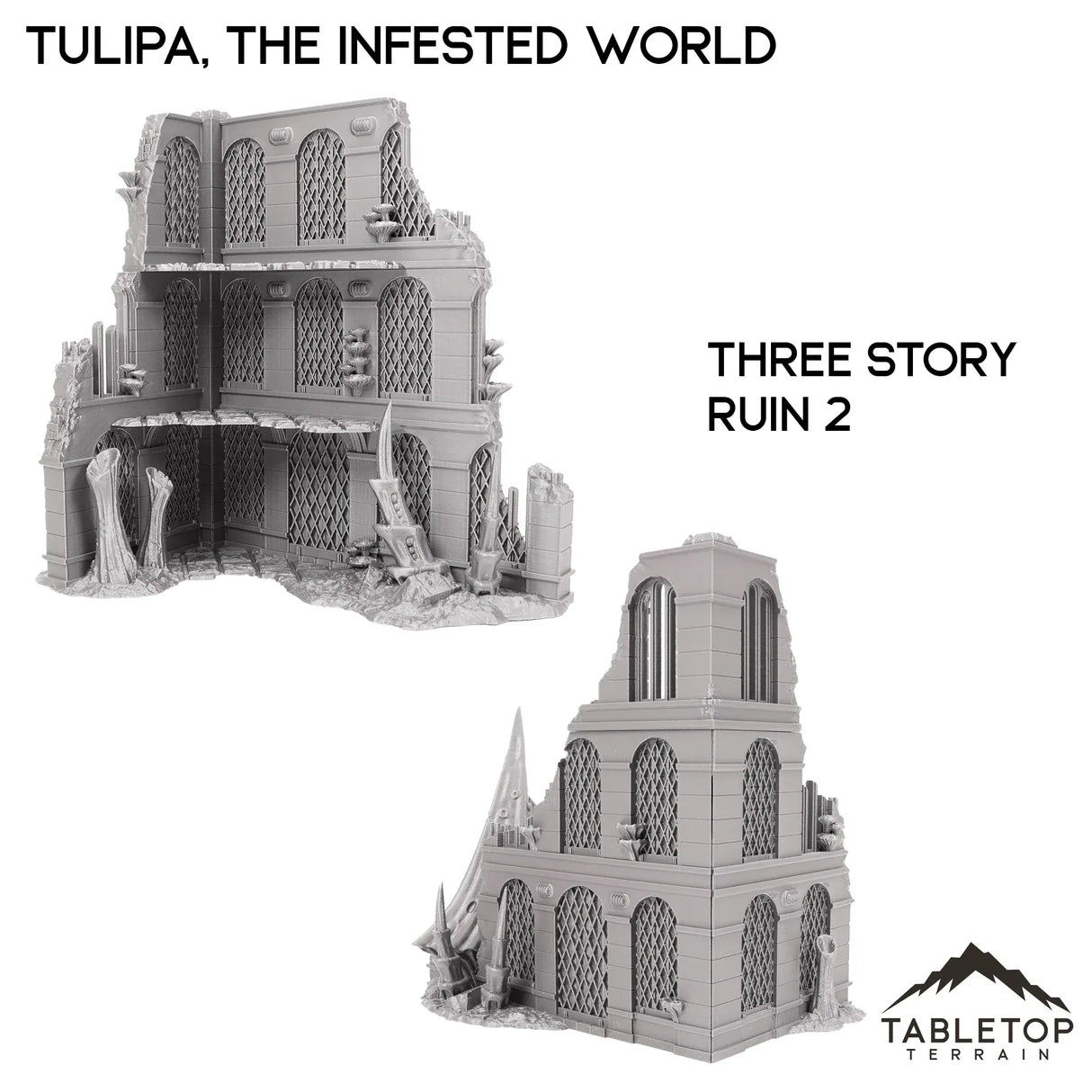 Tabletop Terrain Terrain 28/32mm / Three Story Ruin 2 Tulipa, The Infested World