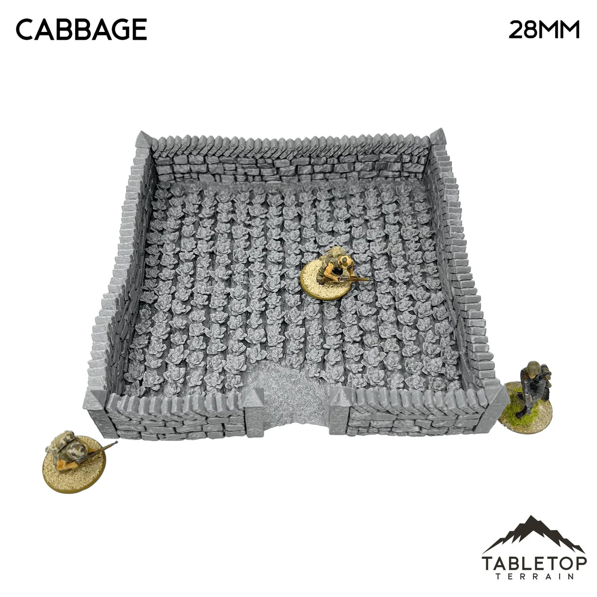 Tabletop Terrain Terrain 32mm / Cabbage Farm Fields - Country & King - Fantasy Historical Terrain