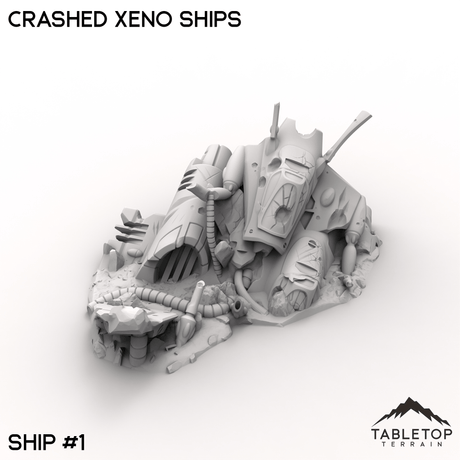 Tabletop Terrain Terrain 32mm / Ship 1 Crashed Xeno Ships