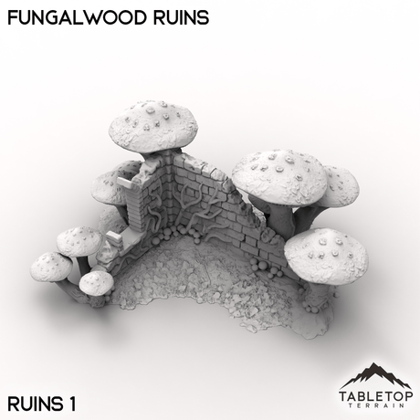 Tabletop Terrain Terrain Ruins 1 / 32mm Fungalwood Ruins