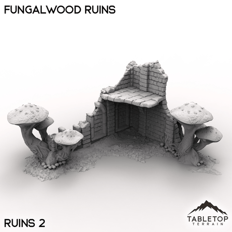 Tabletop Terrain Terrain Ruins 2 / 32mm Fungalwood Ruins
