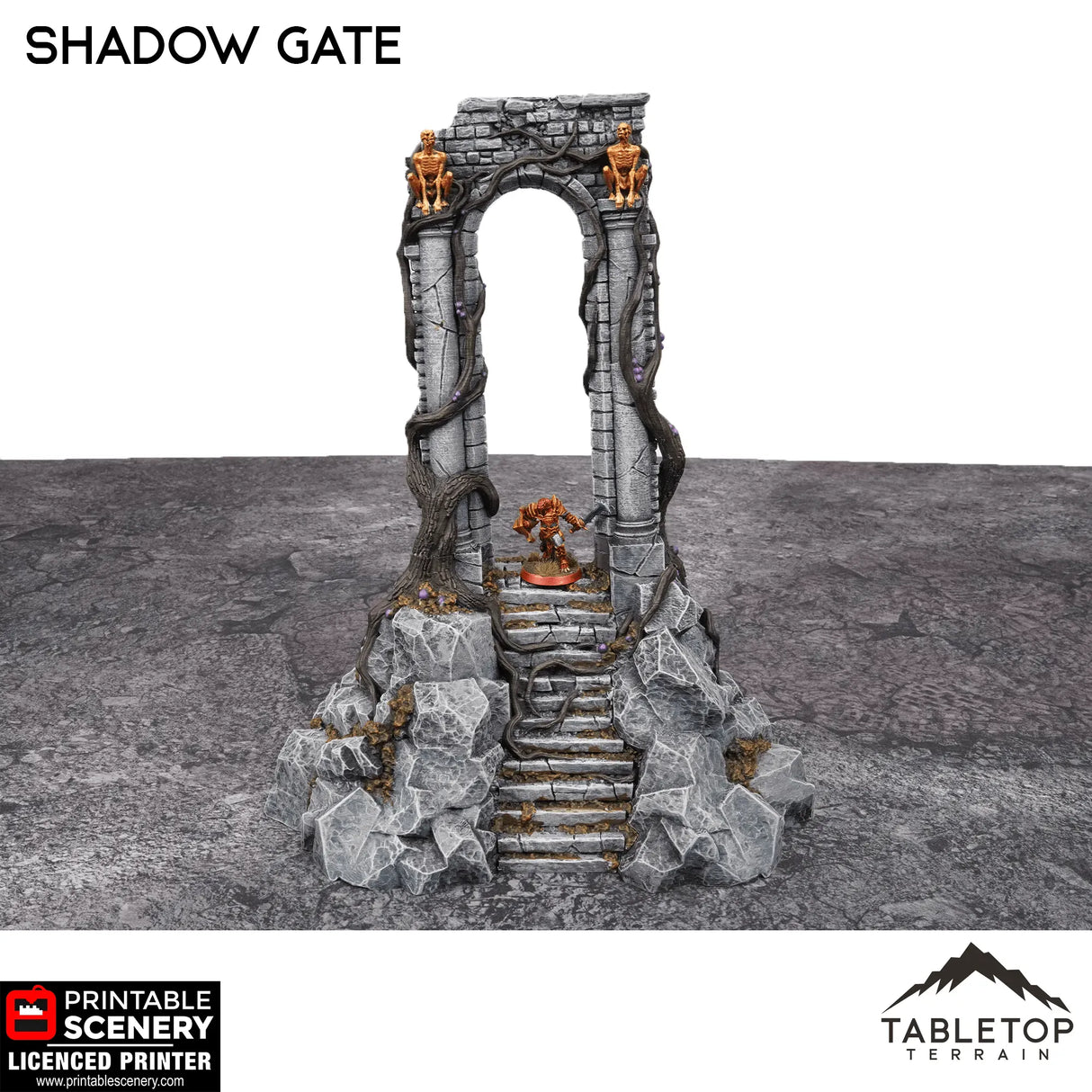 Tabletop Terrain Terrain Shadow Gate - Fantasy Terrain
