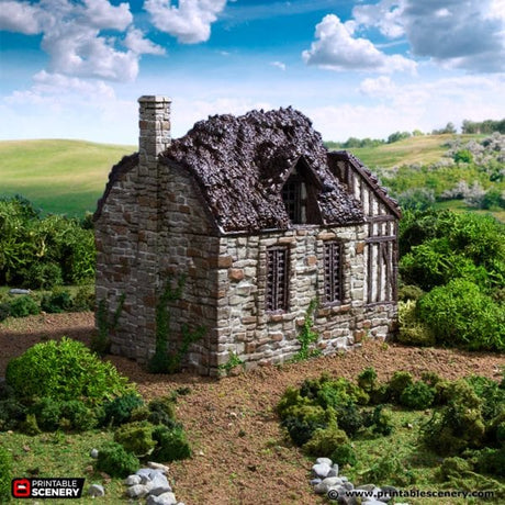 Tabletop Terrain Building Barlyway Cottage - Country & King - Fantasy Historical Building