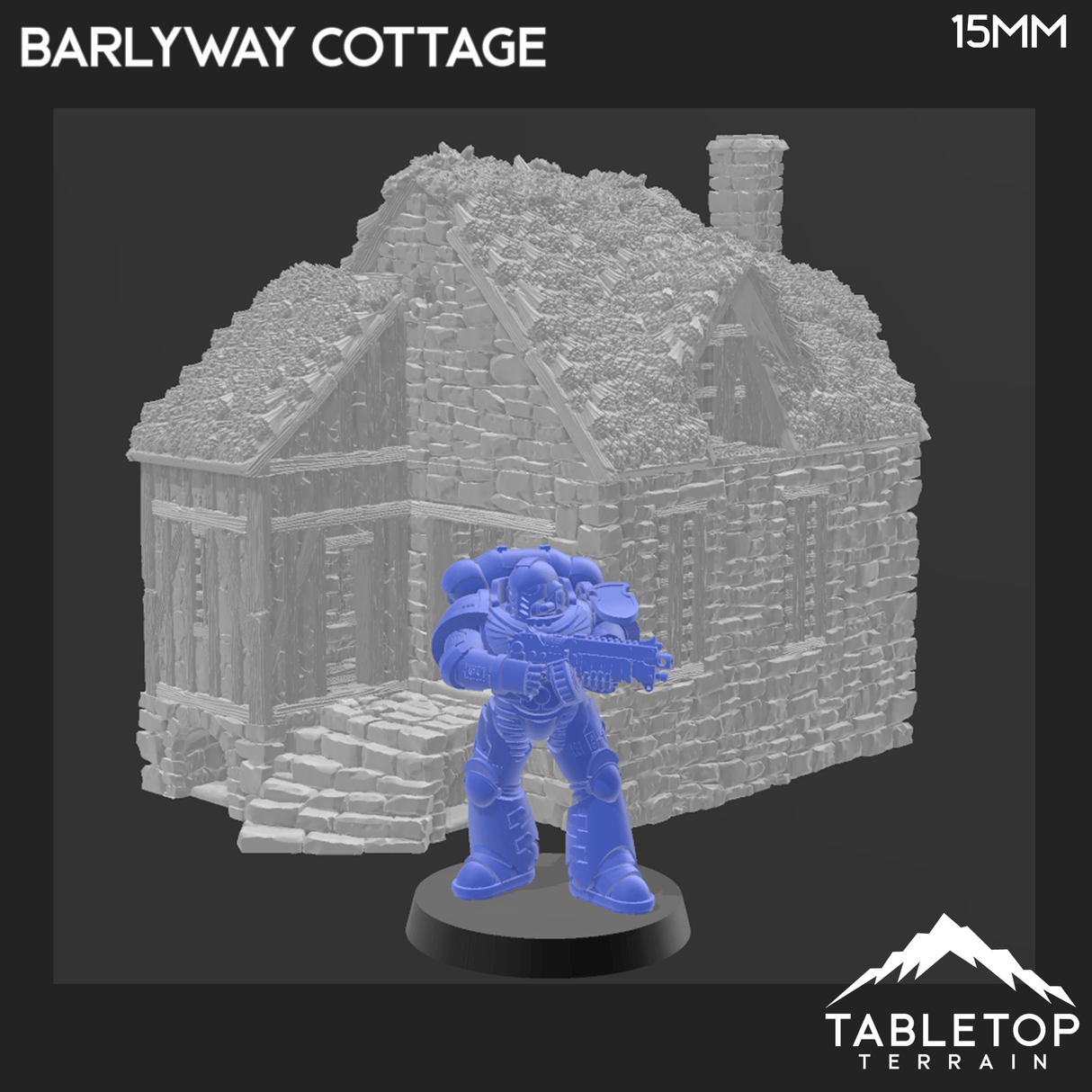 Tabletop Terrain Building Barlyway Cottage - Country & King - Fantasy Historical Building