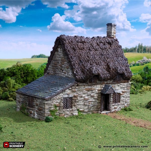 Tabletop Terrain Building Crow Cottage - Country & King - Fantasy Historical Building