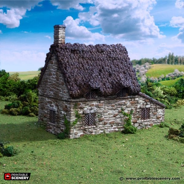 Tabletop Terrain Building Crow Cottage - Country & King - Fantasy Historical Building