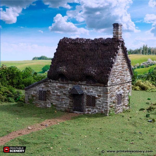 Tabletop Terrain Building Crow Cottage - Country & King - Fantasy Historical Building