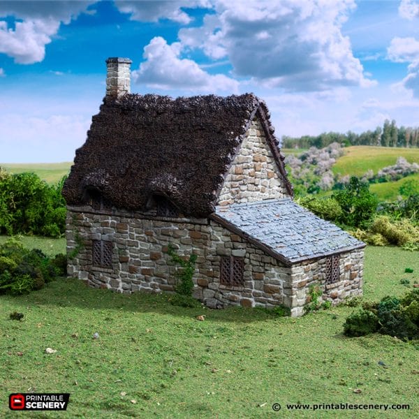 Tabletop Terrain Building Crow Cottage - Country & King - Fantasy Historical Building