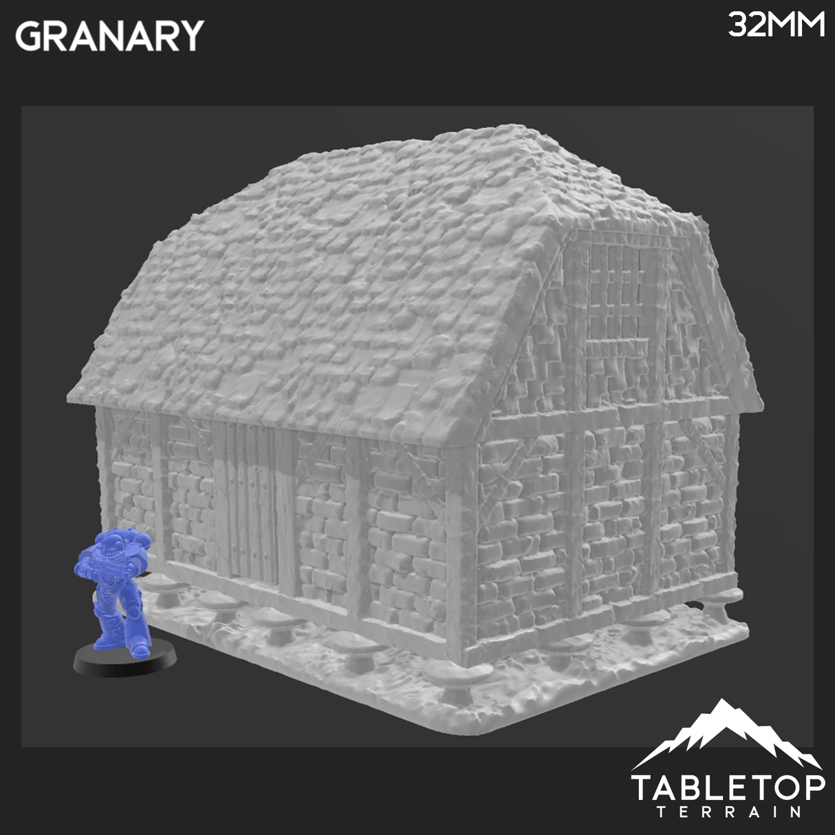 Tabletop Terrain Building Medieval Granary