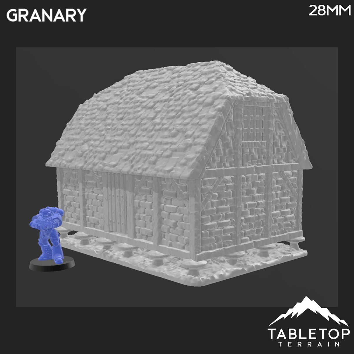 Tabletop Terrain Building Medieval Granary