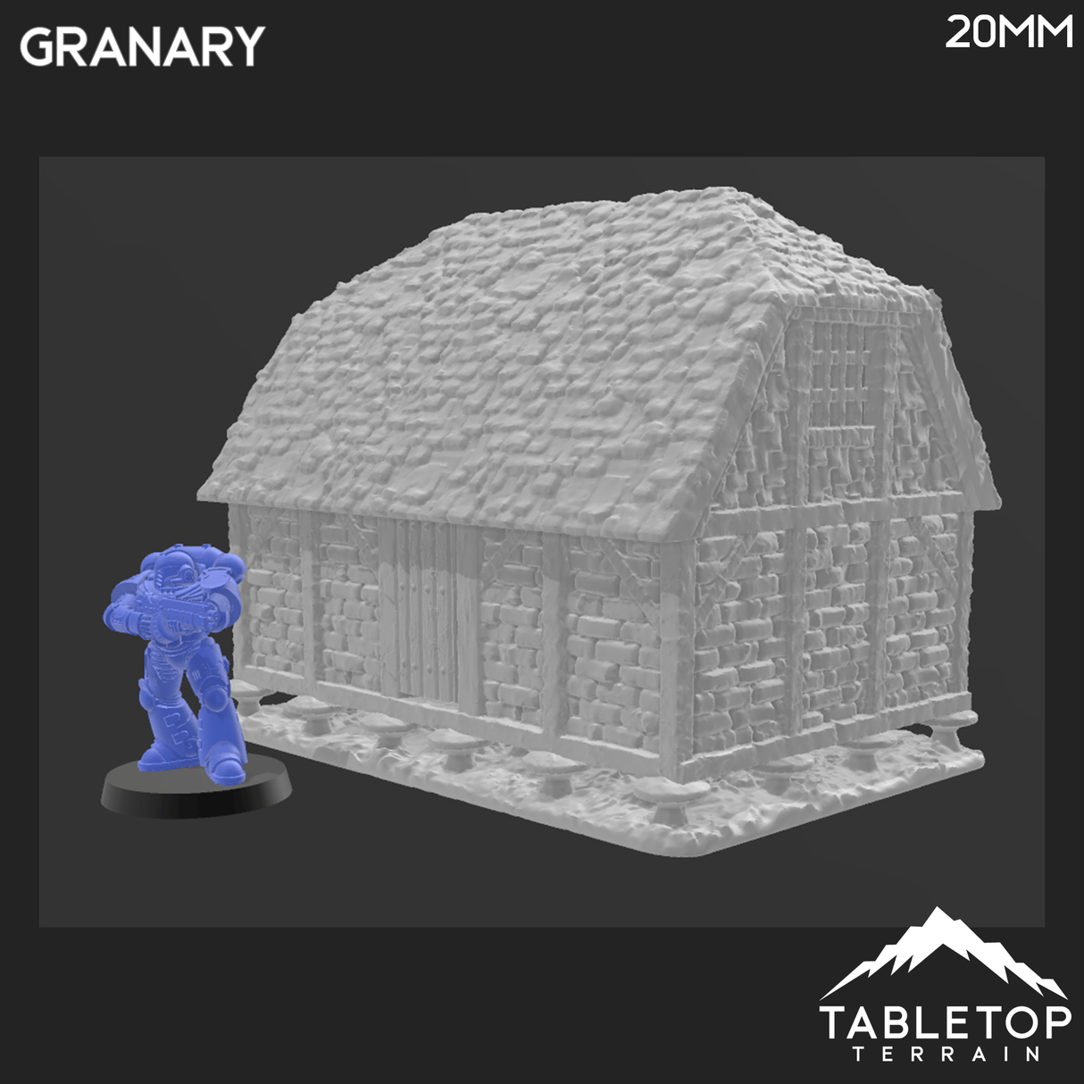 Tabletop Terrain Building Medieval Granary