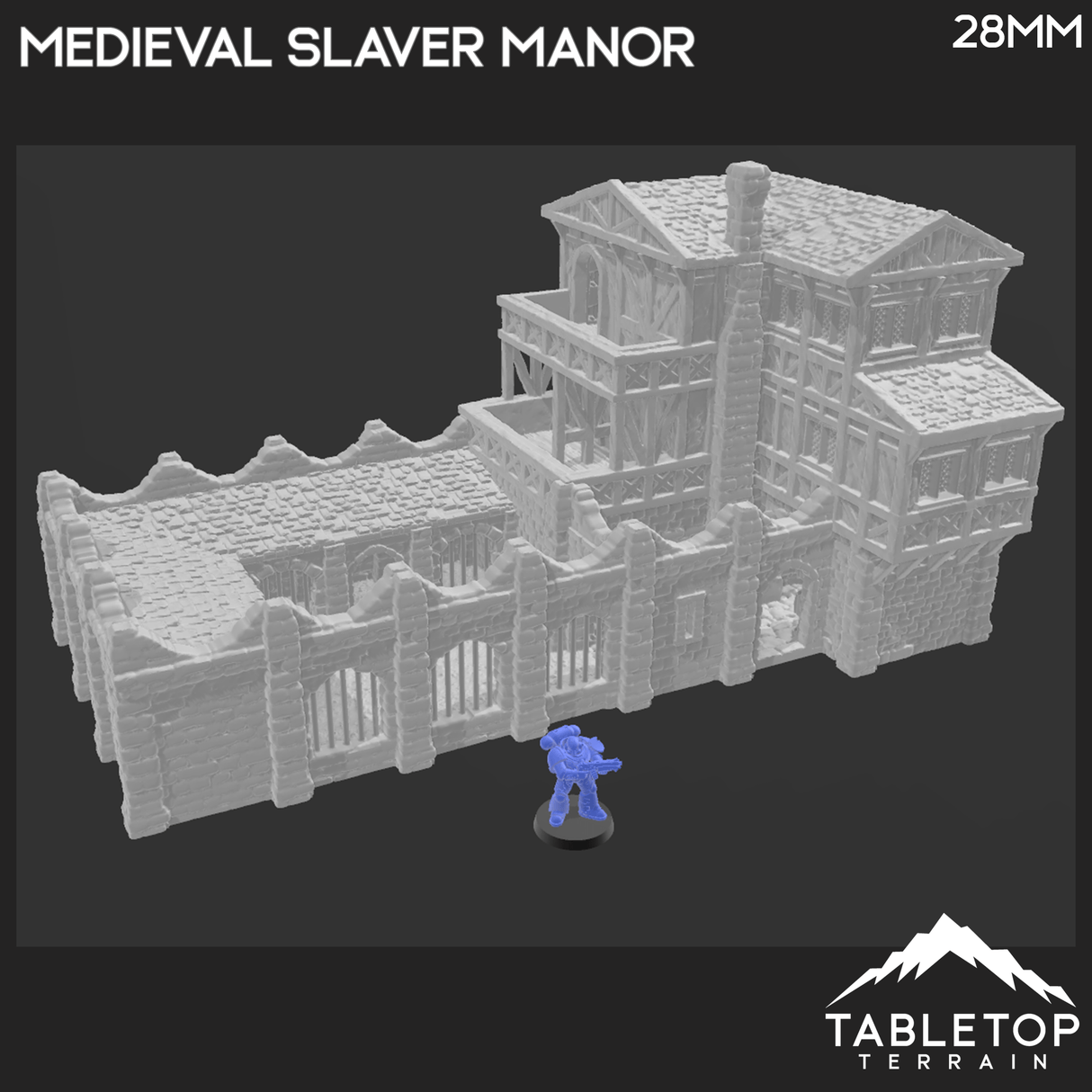 Tabletop Terrain Building Medieval Slaver Manor