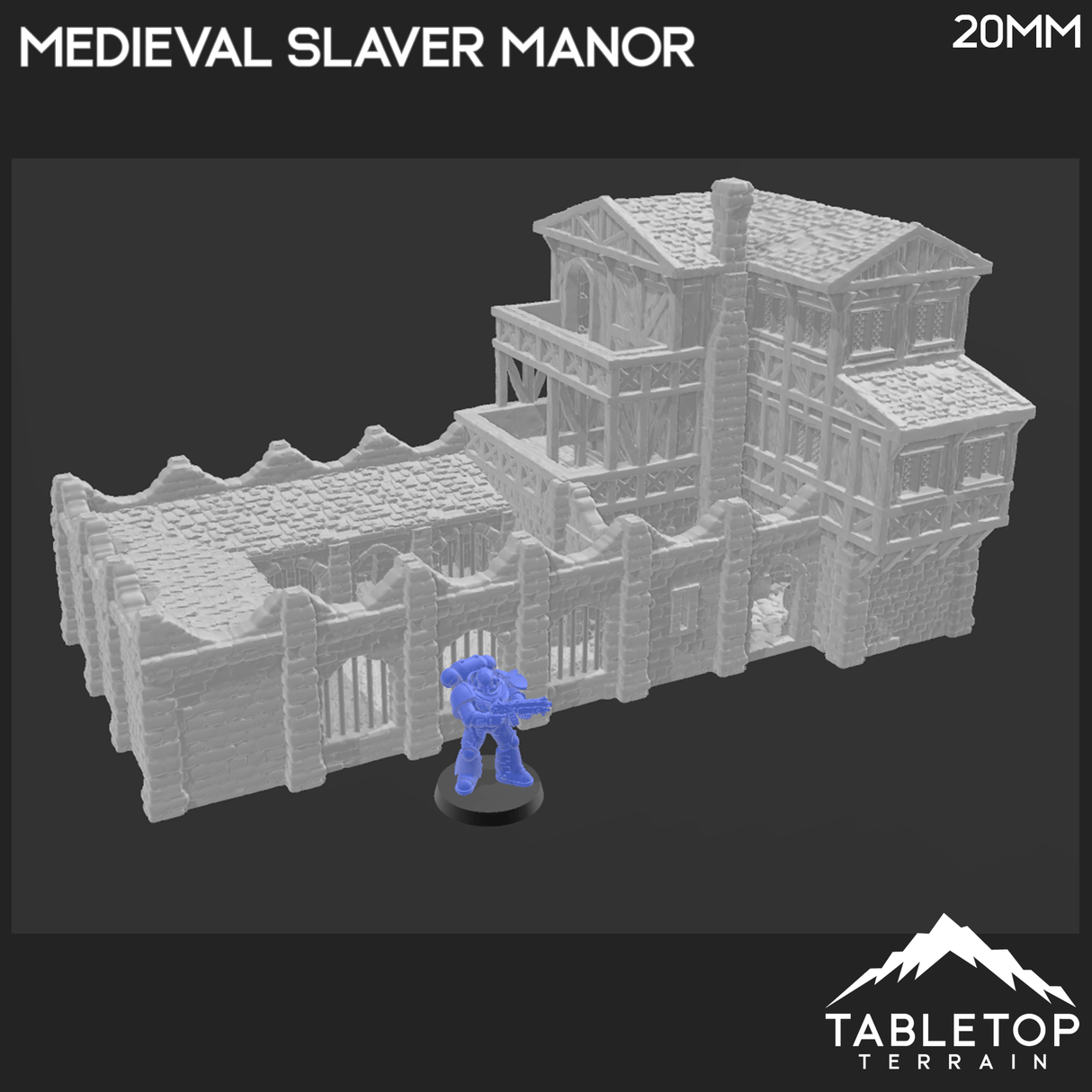 Tabletop Terrain Building Medieval Slaver Manor