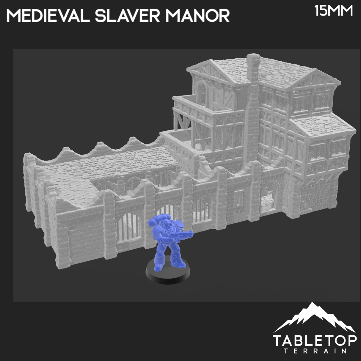 Tabletop Terrain Building Medieval Slaver Manor