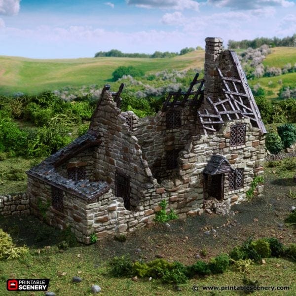 Tabletop Terrain Building Ruined Crow Cottage - Country & King - Fantasy Historical Ruins