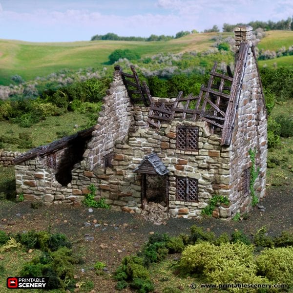 Tabletop Terrain Building Ruined Crow Cottage - Country & King - Fantasy Historical Ruins