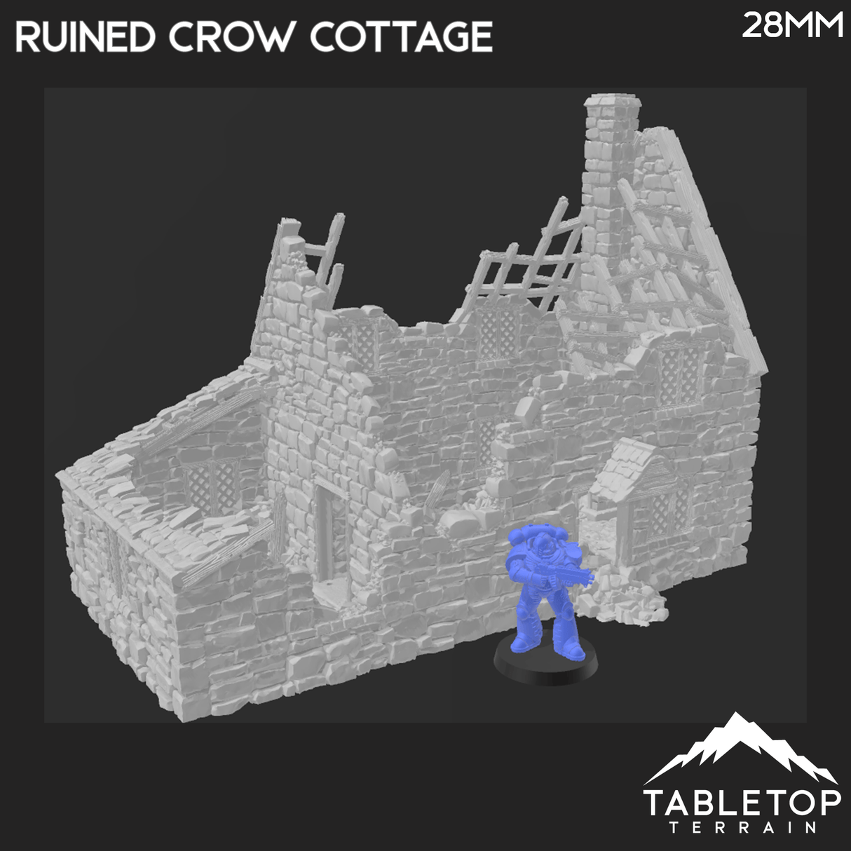 Tabletop Terrain Building Ruined Crow Cottage - Country & King - Fantasy Historical Ruins
