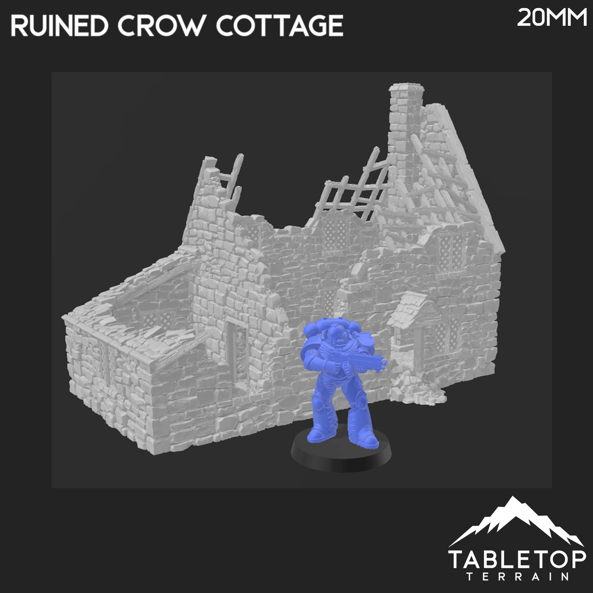 Tabletop Terrain Building Ruined Crow Cottage - Country & King - Fantasy Historical Ruins