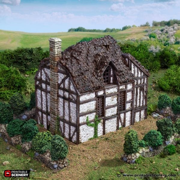 Tabletop Terrain Building Wattle and Daub Barlyway Cottage - Country & King - Fantasy Historical Building