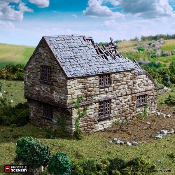 Tabletop Terrain Ruins Ruined Hollyhock Cottage - Country & King - Fantasy Historical Ruins