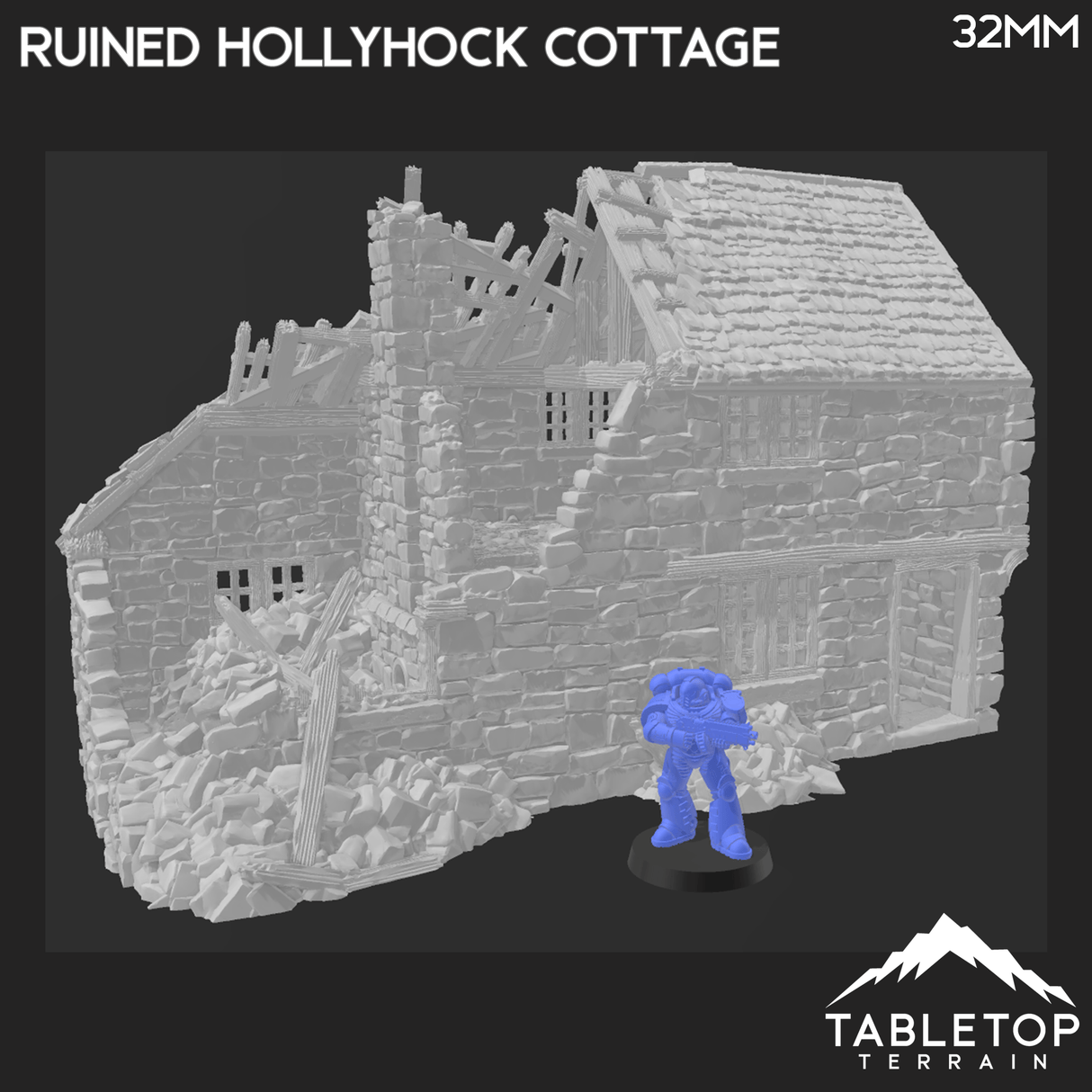 Tabletop Terrain Ruins Ruined Hollyhock Cottage - Country & King - Fantasy Historical Ruins