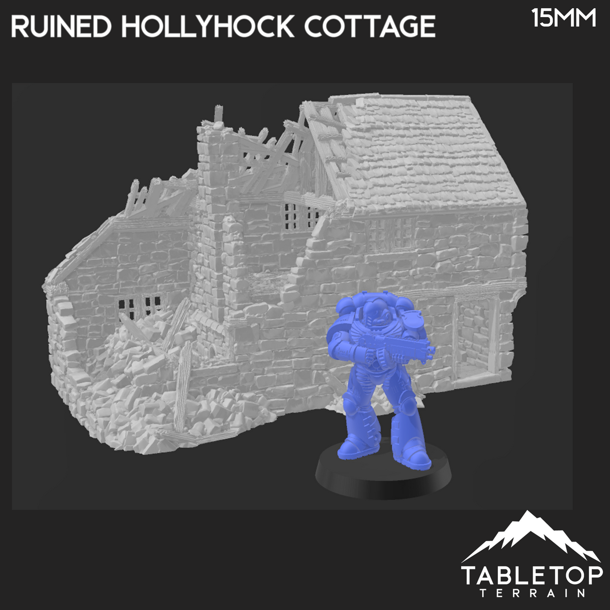 Tabletop Terrain Ruins Ruined Hollyhock Cottage - Country & King - Fantasy Historical Ruins
