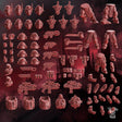 Crimson Wings Recon Squad (build-kit & easy-to-build models) 1