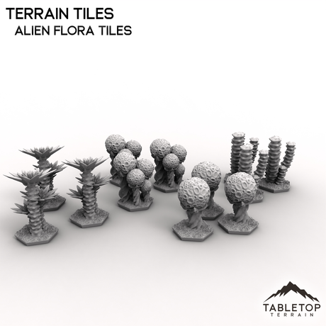 Baldosas de terreno HEXTECH - 6 mm