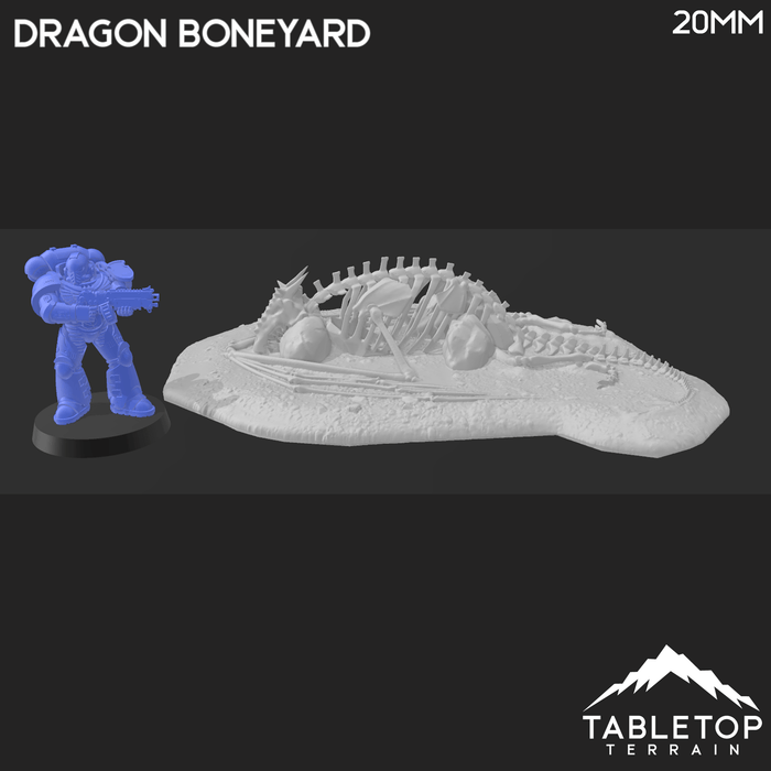Tabletop Terrain Building Dragon Boneyard