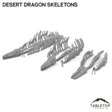 Desert Dragon Skeletons