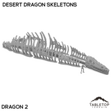 Desert Dragon Skeletons