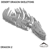 Desert Dragon Skeletons