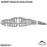 Desert Dragon Skeletons