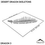 Desert Dragon Skeletons