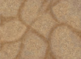 Desert Paths - Neoprene Battle Mat - Warhammer, AoS, 40K, Kill Team, MCP, Shatterpoint, Legion, More