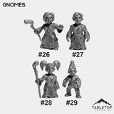 Gnomes Bundle 5