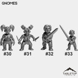 Gnomes Bundle 6