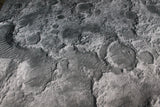 Moonscape - Neoprene Battle Mat - Warhammer, AoS, 40K, Kill Team, MCP, Shatterpoint, Legion, More