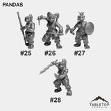 Pandas Bundle 4