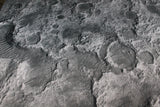 Gray Matter Gaming Gaming Mat 44x60 Moonscape - Neoprene Battle Mat with Bag