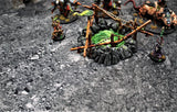 Gray Matter Gaming Gaming Mat Ashen Wastelands - Neoprene Battle Mat with Bag