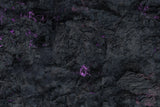 Gray Matter Gaming Gaming Mat Tainted Cavern - Neoprene Battle Mat with Bag