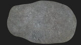 Gray Matter Gaming Objective Marker Piece 4 - Rubble \ Forest Floor Double Sided Neoprene Terrain for Warhammer 40k, AoS, Star Wars, Conquest, Bolt Action, Saga, and more!