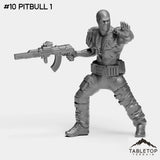 #10 PitBull 1