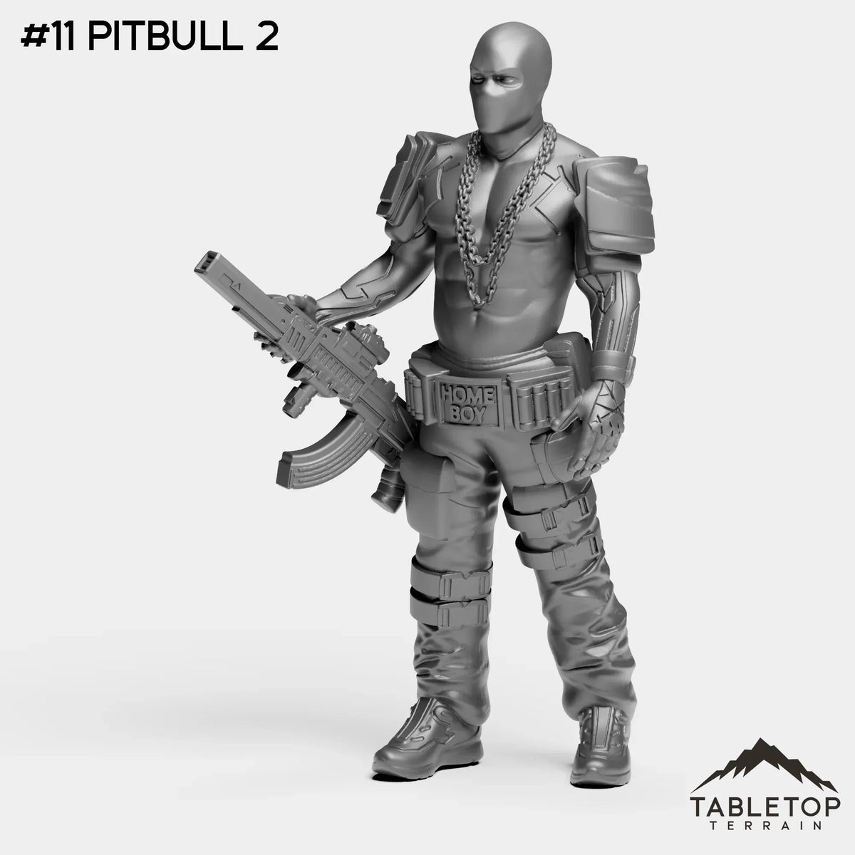 #11 PitBull 2
