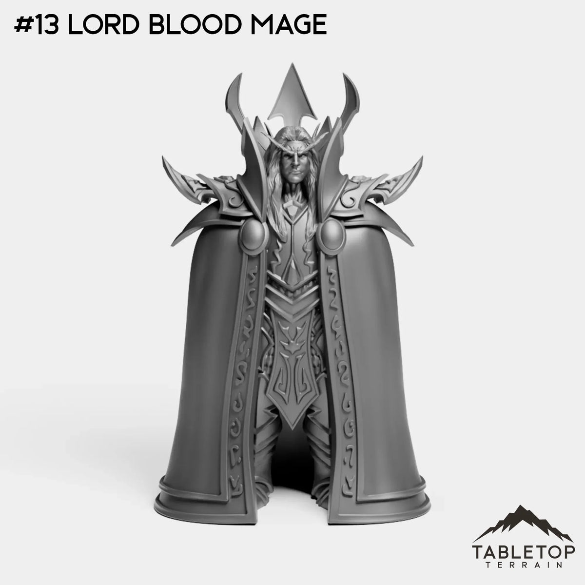 #13 Lord Blood Mage