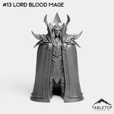 #13 Lord Blood Mage